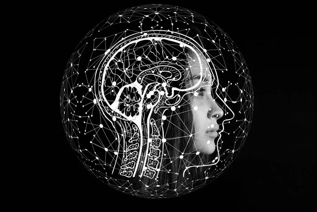 NLP אימון - NLP אימון | מוטי אלוני