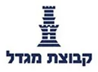 קבוצת מגדל